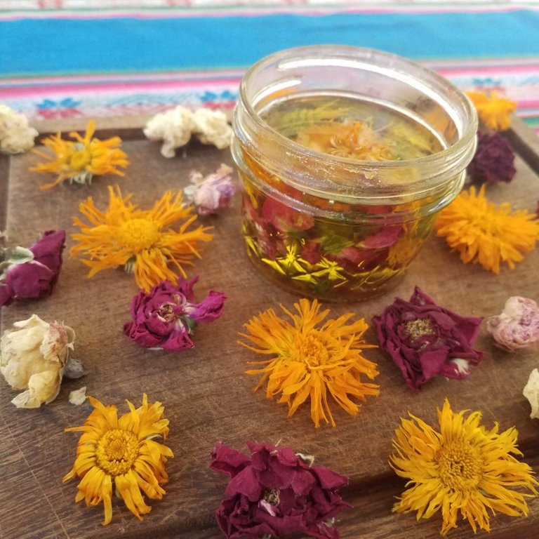 calendula oil making