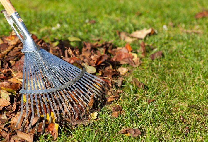 Homesteading Tools: Saw & Leaf Rake