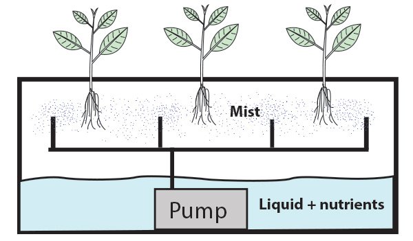 Aeroponics