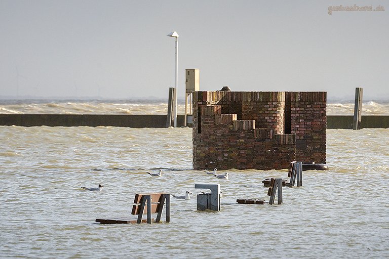 WILHELMSHAVEN STURMFLUT: Die Windsbraut bekommt nasse Füße