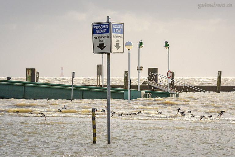 WILHELMSHAVEN STURMFLUT: Parkplatz und Teil der Mittelbrücke unter Wasser