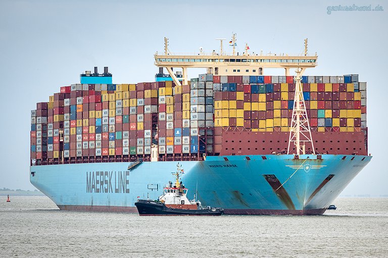 JADEWESERPORT Schiffsabfahrten: Triple-E-Klasse MADRID MAERSK auslaufend