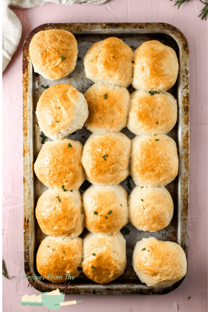 dinner rolls