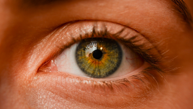 50 new genes for eye colour