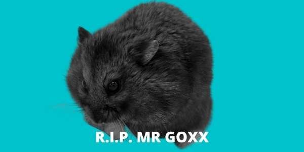 RIP Mr Goxx