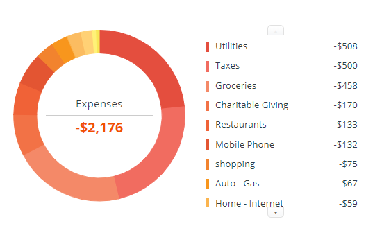 January 2019 expense snapshot