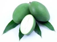 Mango-green (มะม่วง - Mamuang) Mangifera indica