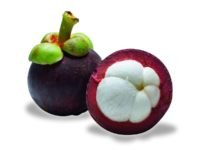 Mangosteen (มังคุด - Mangkud) Garcinia mangostana