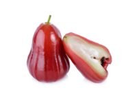 Rose Apple (ชมพู่ - Chompoo) Syzygium samarangense