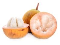 Santol (กระท้อน - Kratoan) Sandoricum koetjape