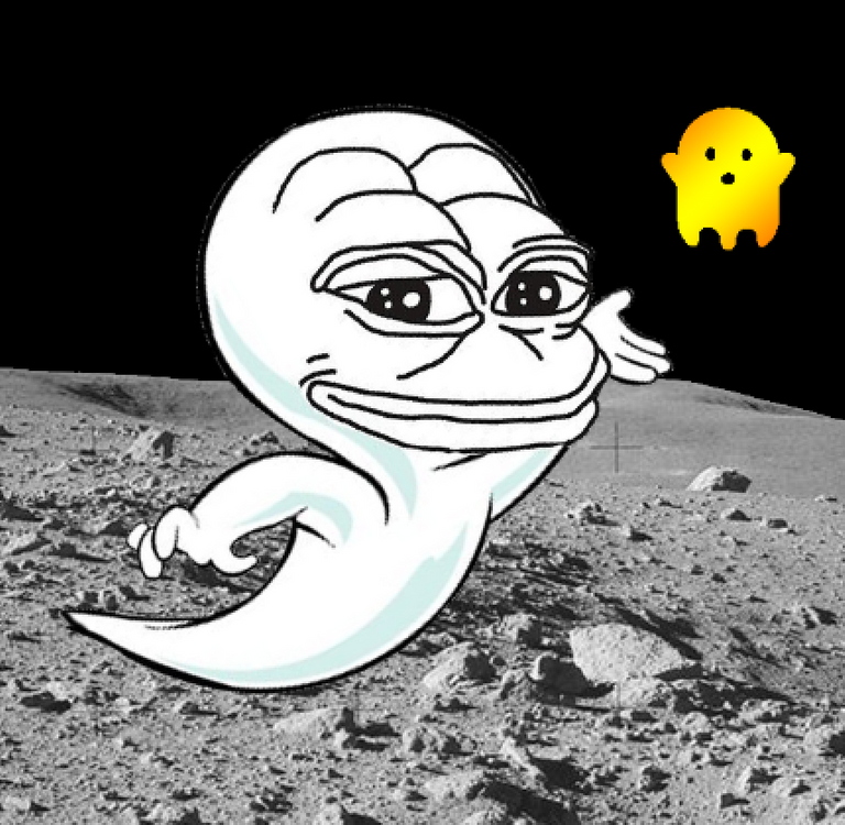 Pepe on the Moon