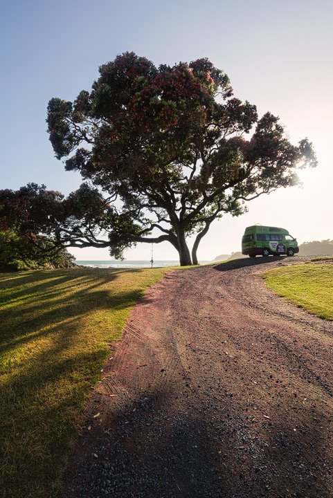 A Jucy Capervan beneath a beautiful tree during monring