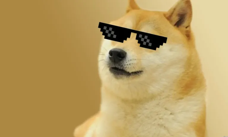 Dogecoin (DOGE) rises by 11%