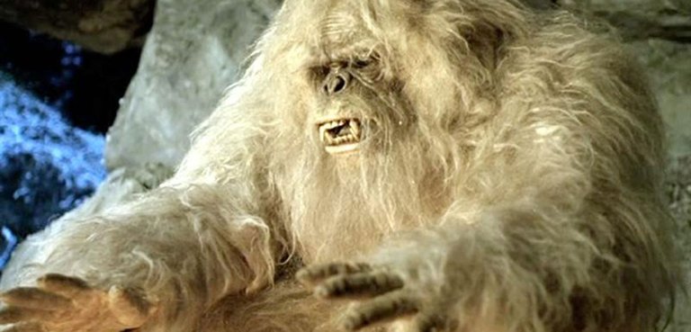 yeti.png
