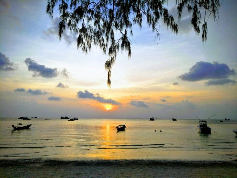 Tropical pine tree against the backdrop of an island beach sunset, with Thai longtail boats in the sea. Why do I travel? To dip my toes in oceans and seas I have only previously read about.