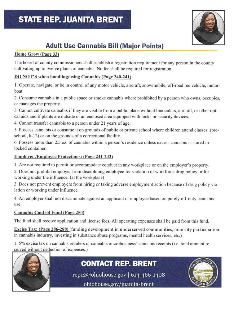 Juanita Brent Adult Use Proposal 2020 Page 2