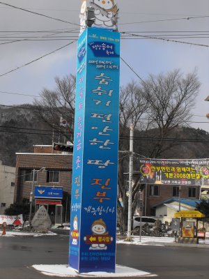 Destination: Pyeongchang Ice / Trout Festival ()