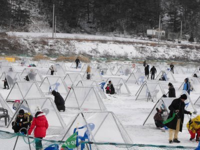 Destination: Pyeongchang Ice / Trout Festival ()