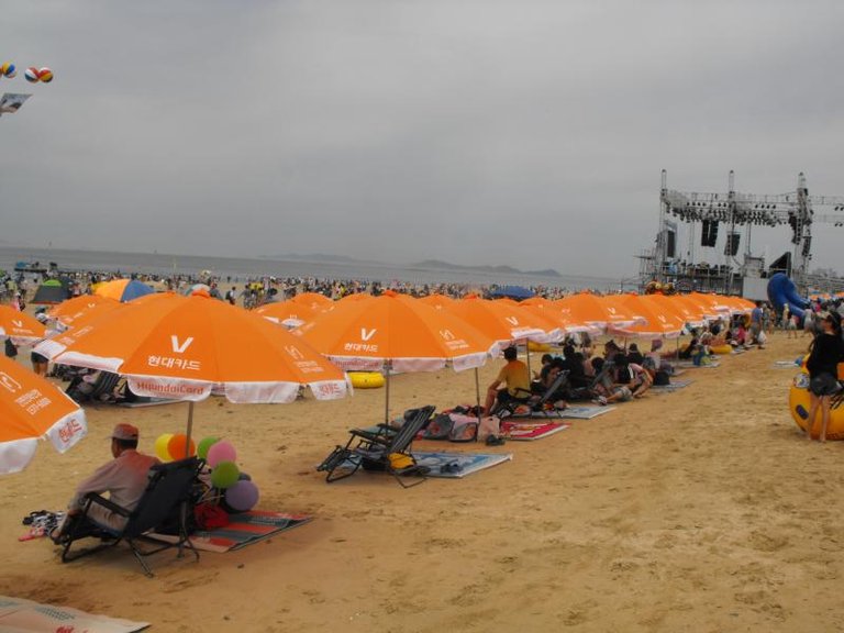 Destination: Boryeong Mud Festival (Daecheon) ()