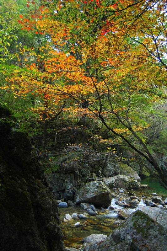 Destination: Guryongsa / Chiaksan National Park (Wonju city, Gangwon-do) ()