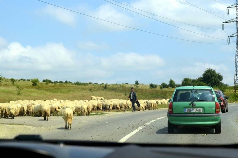 Random pictures: the 'Romanian road trip' edition ()