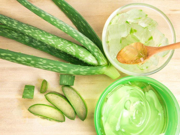 Kết quả hình ảnh cho Aloe Vera