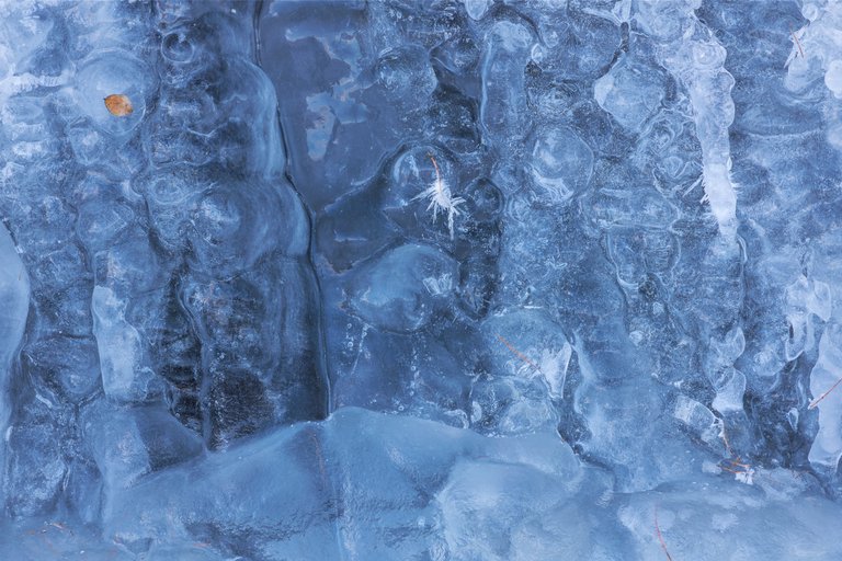 Small Waterfall behind a blue Ice Curtain - closer look - frozen Leaf and Pine Needles