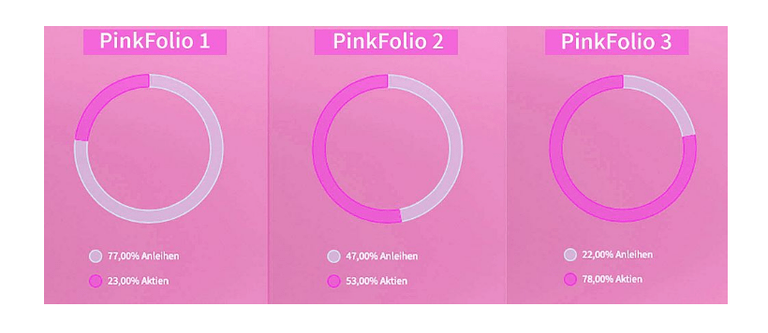 VisualVest PinkFolios