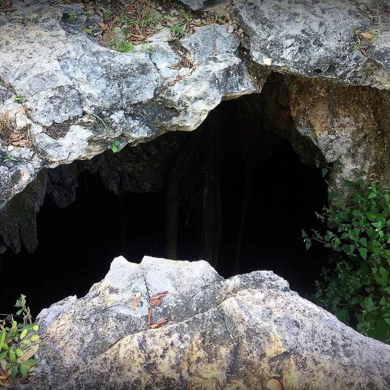 Cenotes are sacred in Mayan culture — it’s where Mayans would make offerings to the gods.