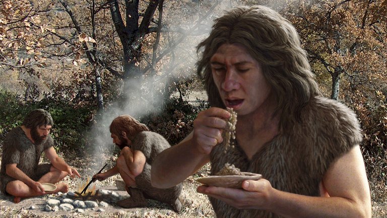 Neanderthals carb loaded, helping grow their big brains