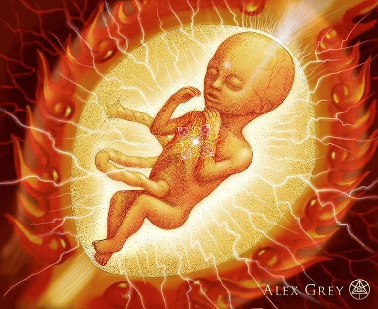 Embryo by Alex Grey