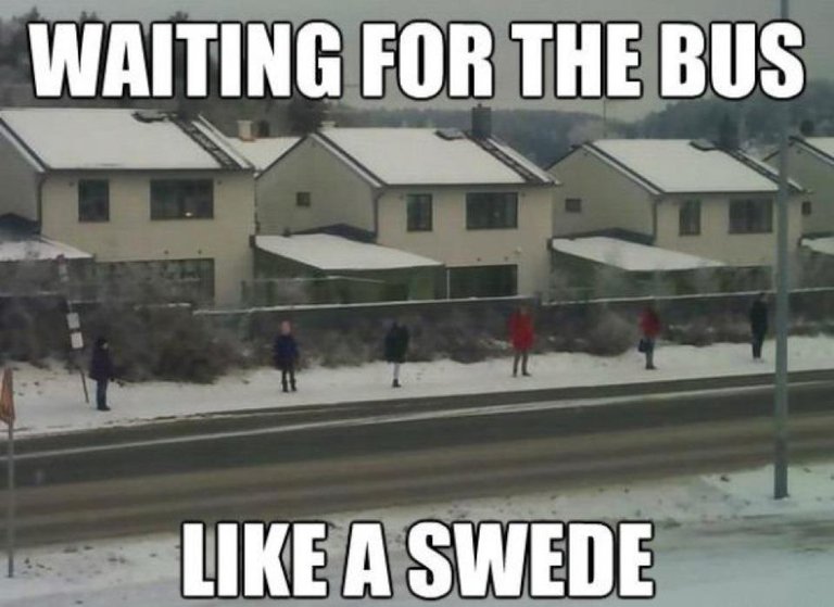 SwedishBusStop