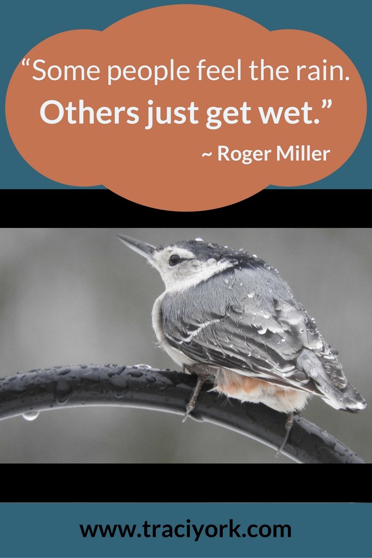 Quote Challenge Week 5 Roger Miller Quote