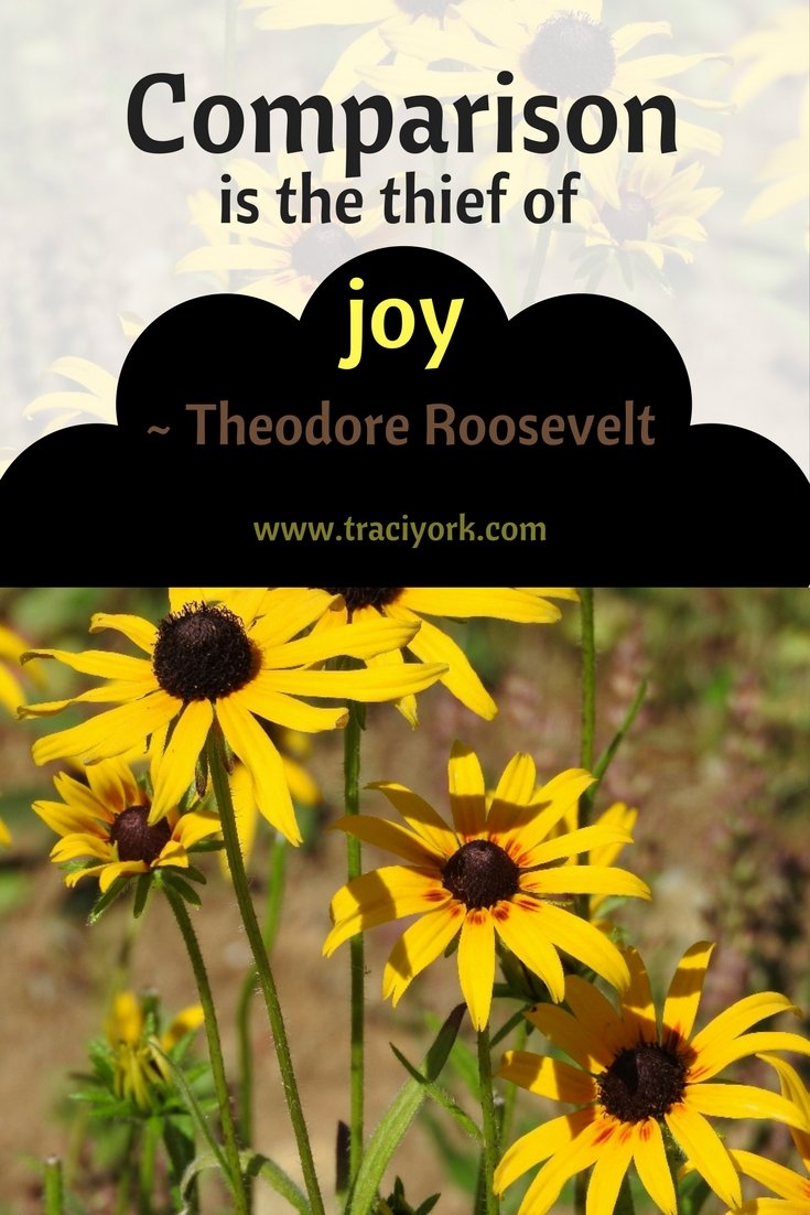 Quote Challenge Week 5 Theodore Roosevelt Quote