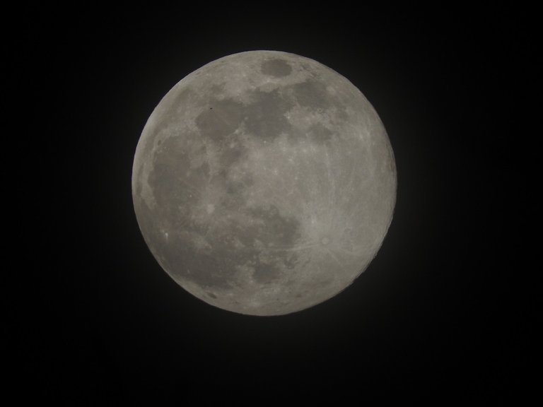 More pics and a quick video of the Full Pink Super Moon