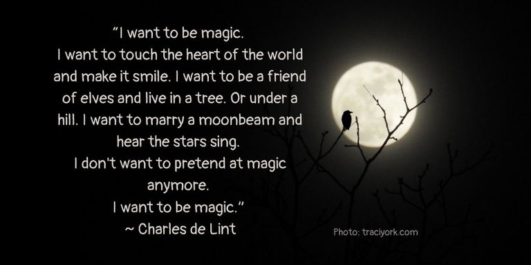 Charles de Lint Magic Quote for Instagram