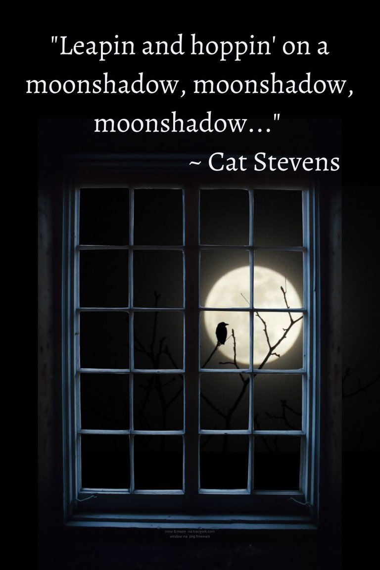 Moonshaow - Quotes with My crow-moon photo with png freeware window