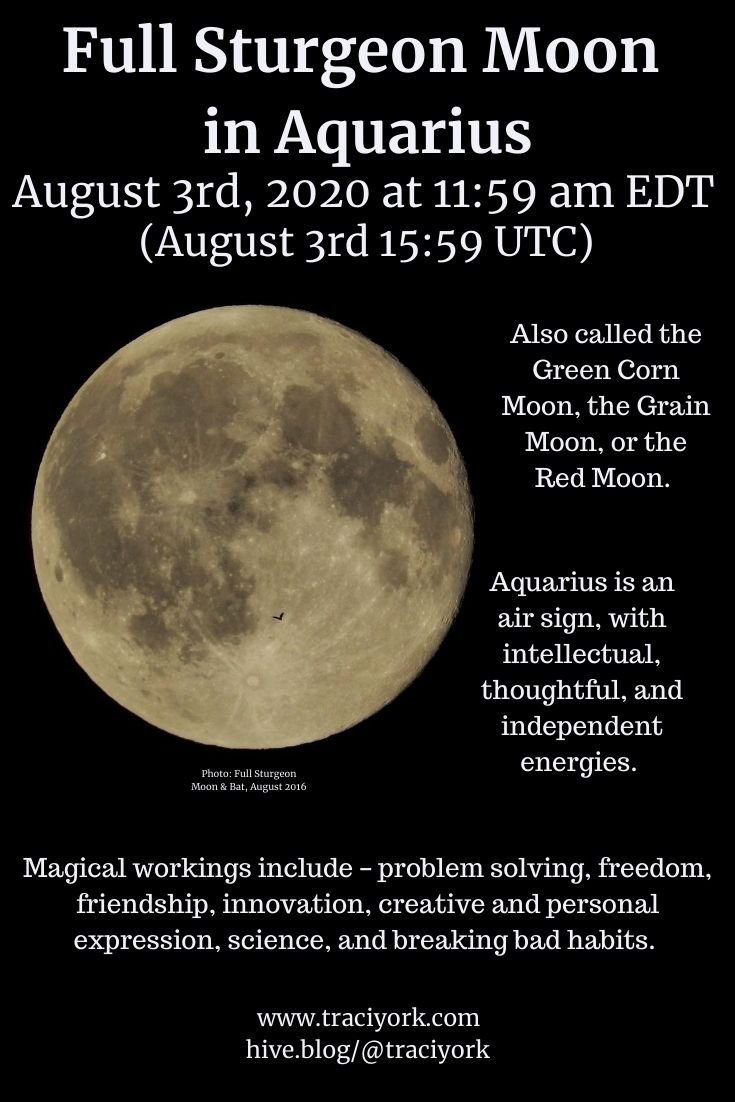 Full Moon in Aquarius August 3 2020 Pinterest size