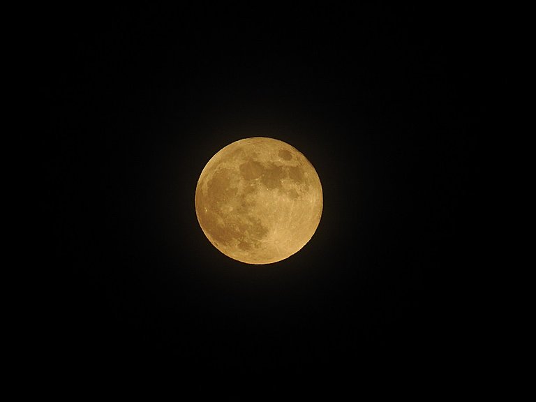 2 June 5th 2020 Full Honey Moon