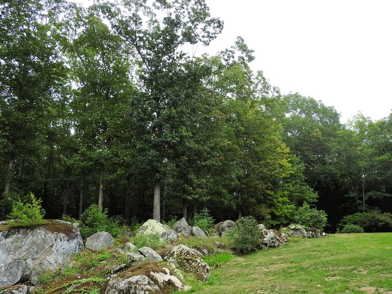 Fall foliage over the course of two weeks