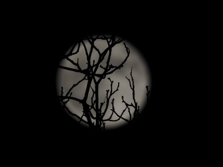 Moon Monday - third set of the Halloween Blue Hunter's Full Moon