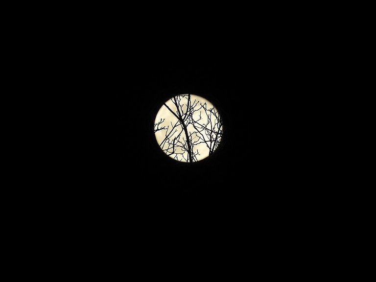 Full Snow Moon on February 27th