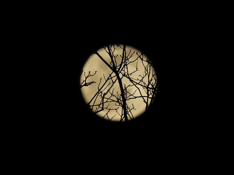 Full Snow Moon on February 27th