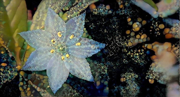 Five Funky Flower Filtered Fotos
