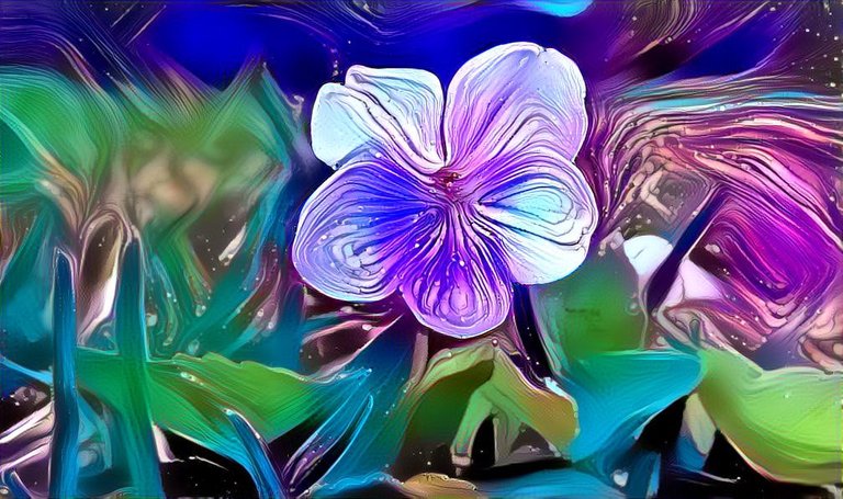 Five Funky Flower Filtered Fotos