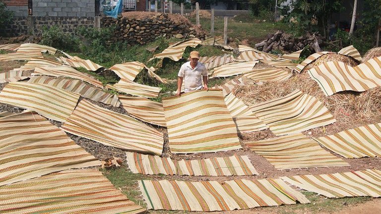 a man is drying sedge mats