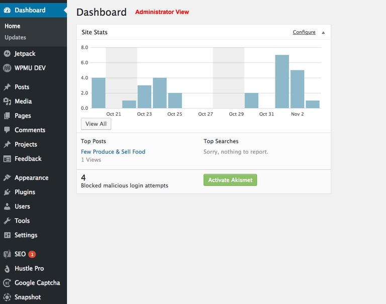 WordPress default Dashboard for Administrators