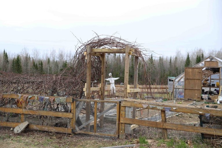 A New Arbour, Stubbornness & A Love For Sticks & Twigs