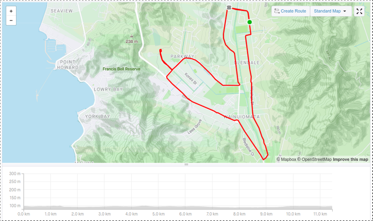 Strava Data