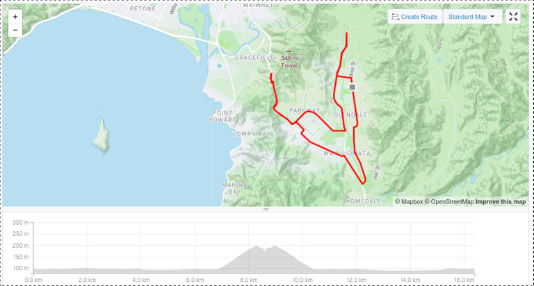 Strava Map